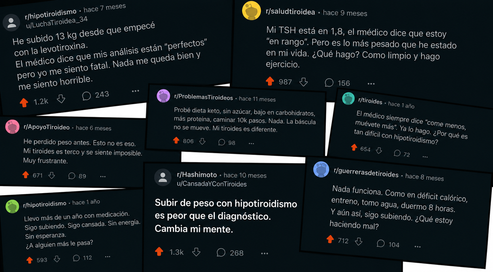 Comunidad